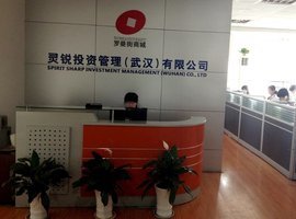 靈銳投資管理（武漢） 專業(yè)投顧賦能企業(yè)成長(zhǎng)